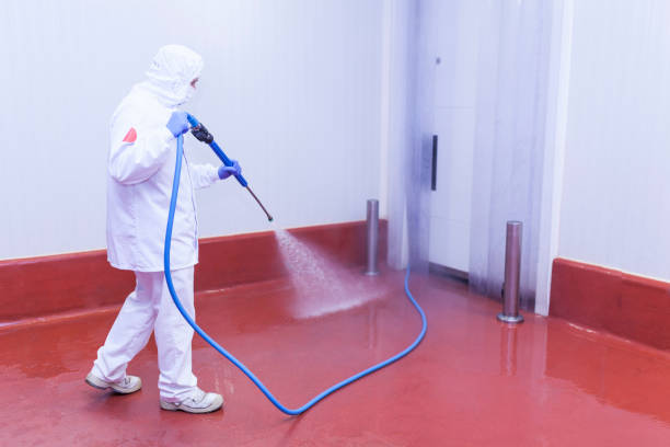 Best Pool Deck Cleaning  in Lincoln University, PA